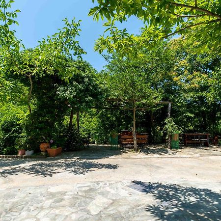 Guesthouse Papachristou Tsagarada Bagian luar foto