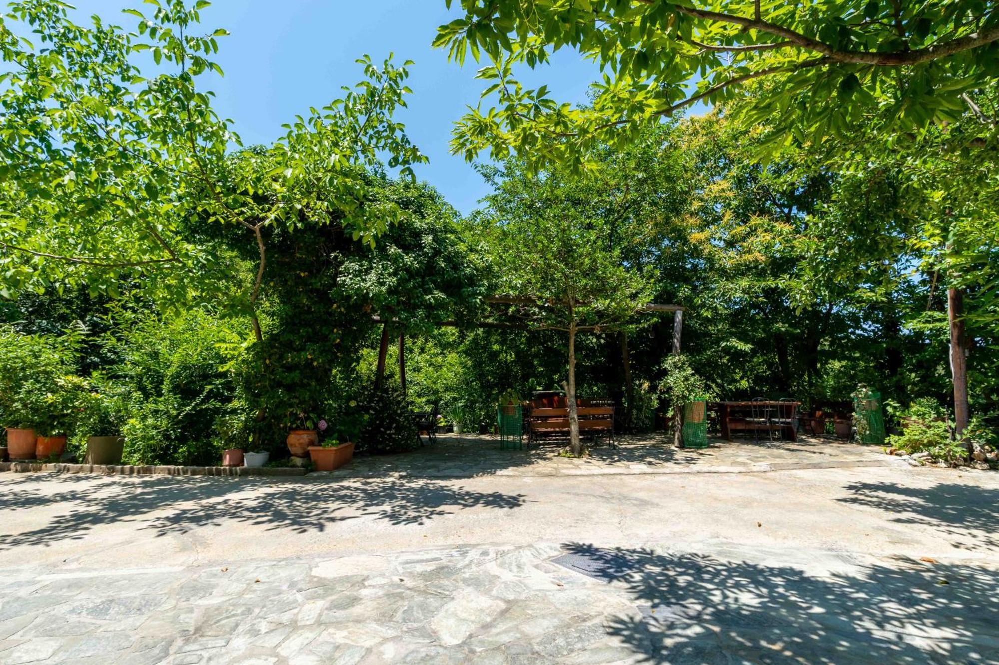 Guesthouse Papachristou Tsagarada Bagian luar foto