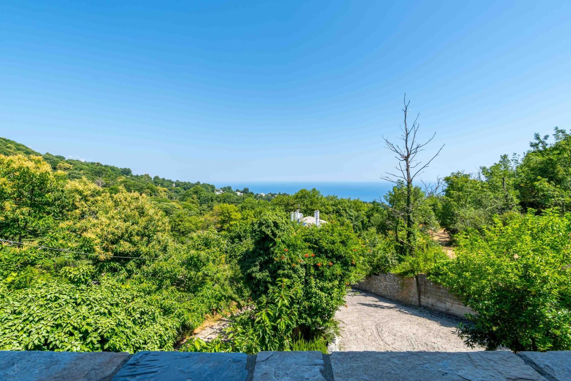 Guesthouse Papachristou Tsagarada Bagian luar foto